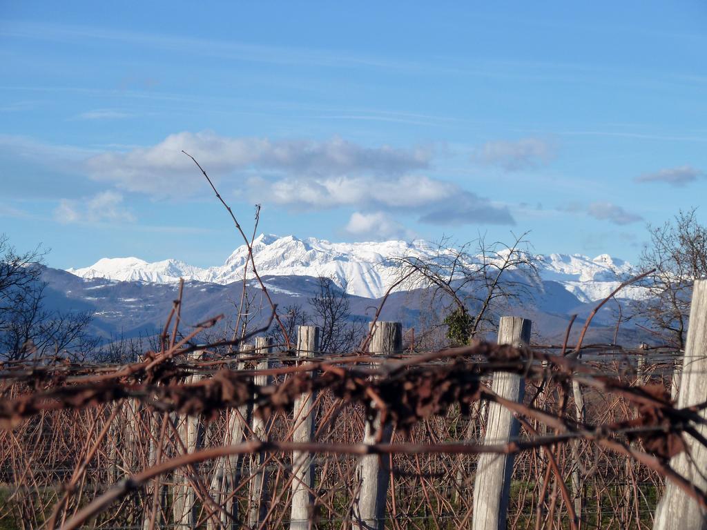 Tenuta Perusini Corno di Rosazzo Екстер'єр фото